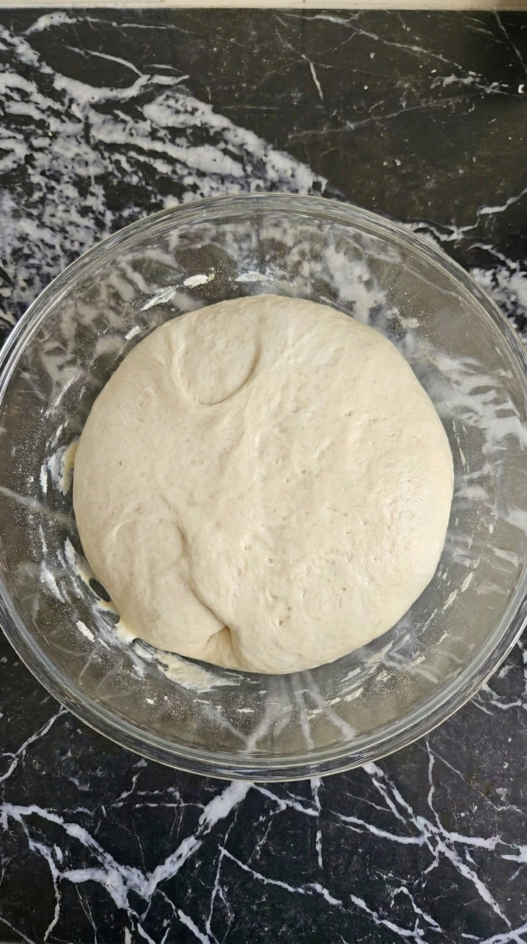 Neapolitan Pizza Dough Recipe (Easy Authentic Napoli-Style Crust) step 3 showing cold-fermented dough with visible bubbles