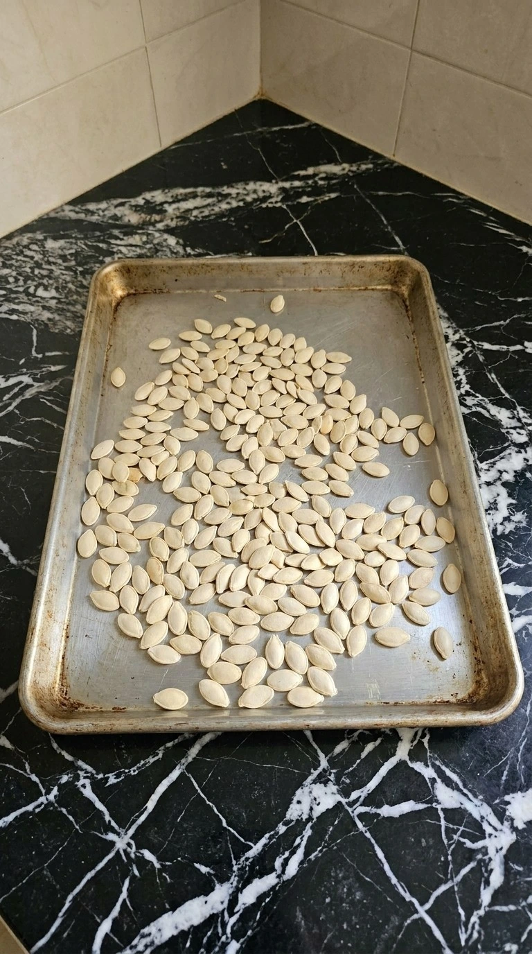 Roasted Pumpkin Seeds with Parmesan Cheese step showing cleaned and thoroughly dried pumpkin seeds