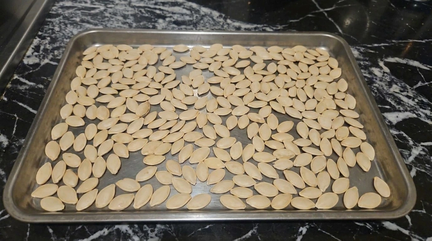 Roasted Pumpkin Seeds with Salt and Pepper step showing thoroughly dried pale pumpkin seeds